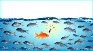 against the stream - opposite concept - leader goldfish