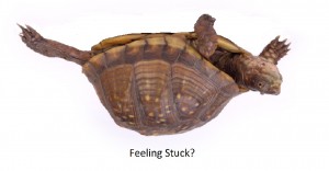 Feeling Stuck Turtle